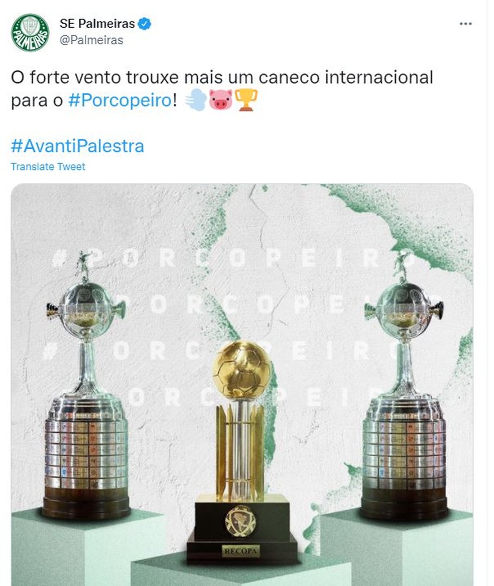 Palmeiras faz provocação após título da Recopa Sul-Americana — Foto: Reprodução