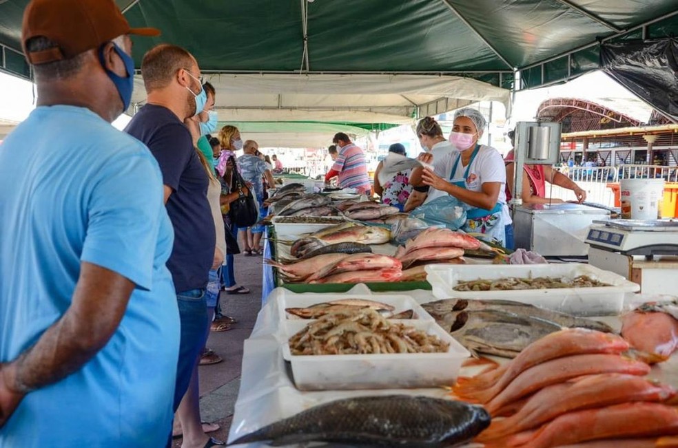 Feira de pescados em Aracaju — Foto: Felipe Gooettenauer/Emsurb/Arquivo