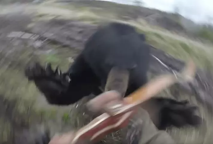 Urso ataca canadense  (Foto: Reprodução/Youtube)