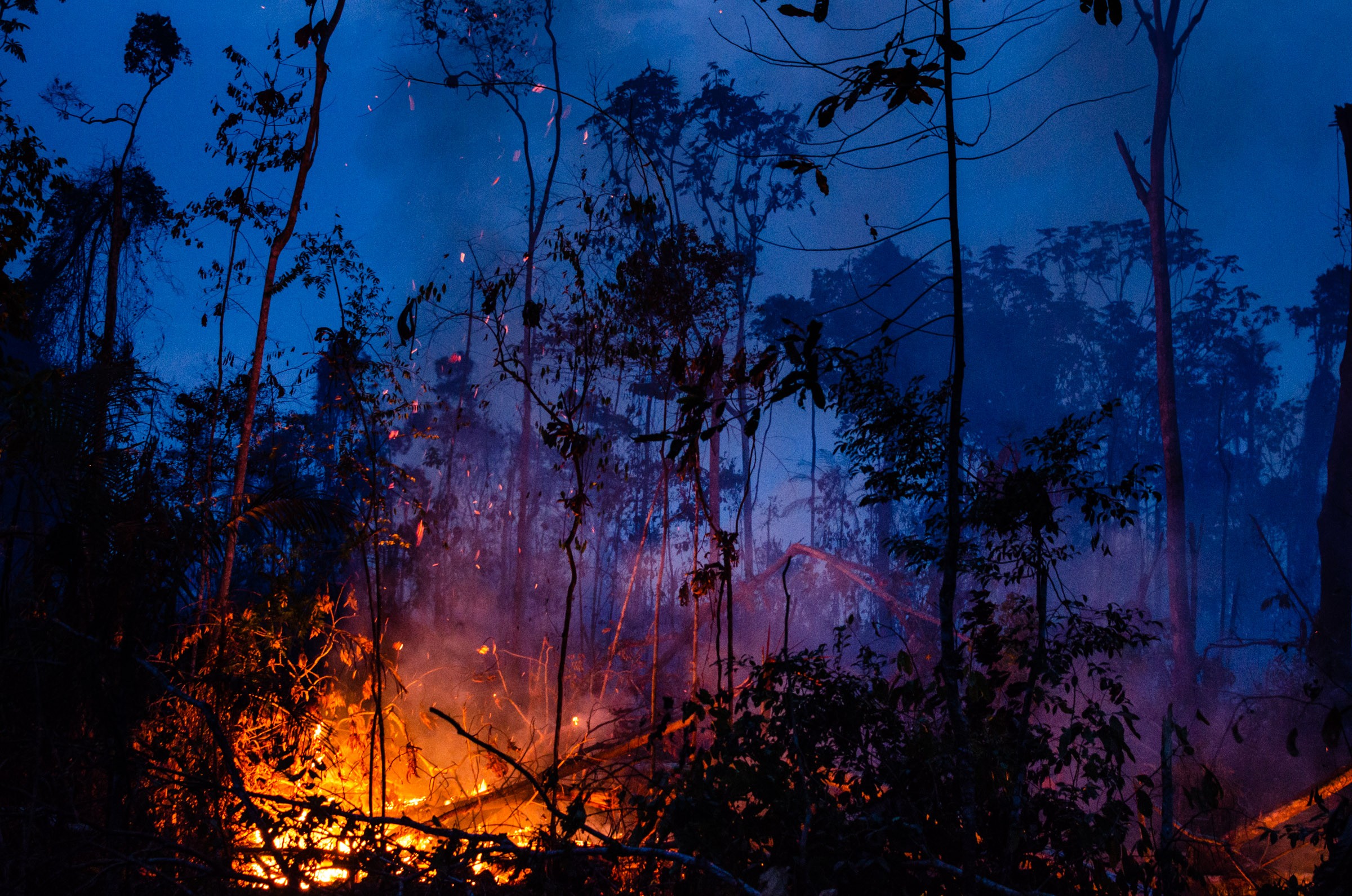 PARA, BRAZIL, 31/08/2019 -  Amazon forest area is burned in rural Novo Progresso, in Para, north of Brazil, this Saturday, August 31st, days after the president decreet prohibiting the intentional burnings that multiplied this year in the Amazon region. W (Foto: NurPhoto via Getty Images)
