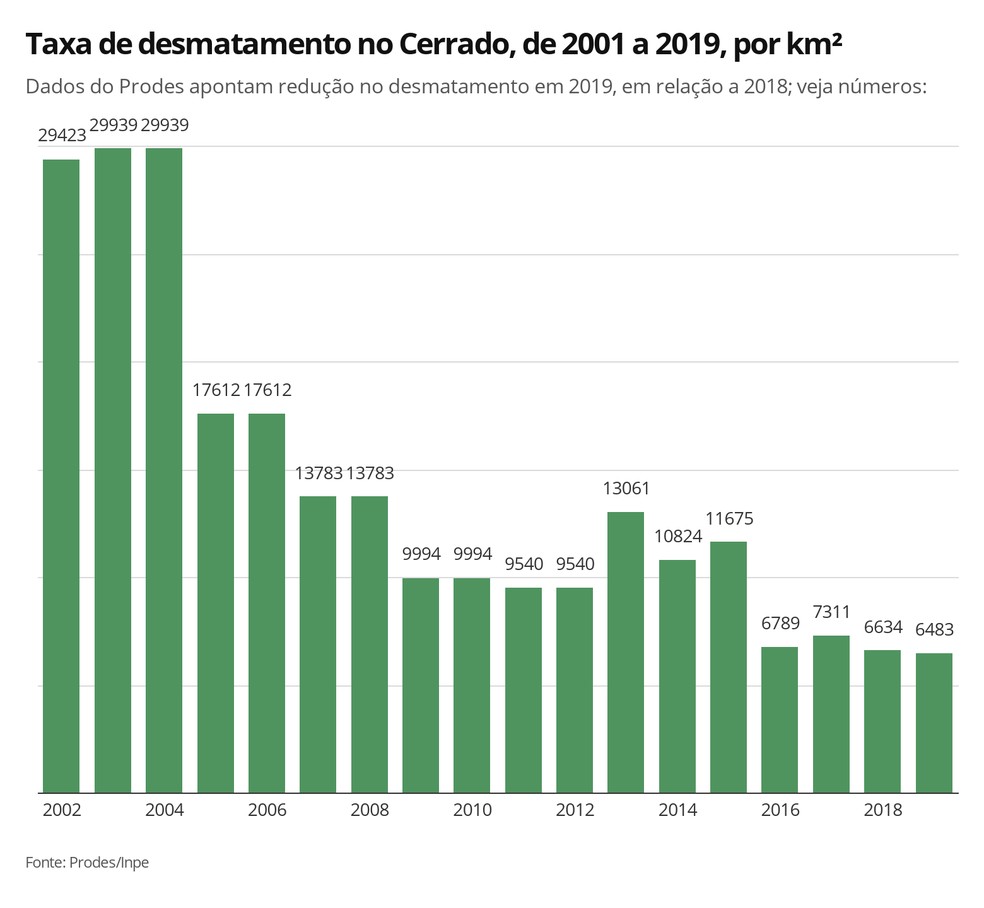 Dados do Prodes apontam queda de 2,26% no desmatamento no Cerrado de agosto de 2018 a julho de 2019  em relação ao mesmo período anterior. — Foto: Elida Oliveira/G1