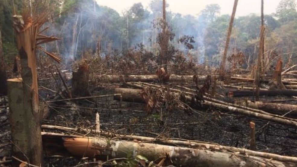 Ministério Público Federal pediu 'providências urgentes' para conter queimadas e desmatamento em área de reserva (Foto: BBC)