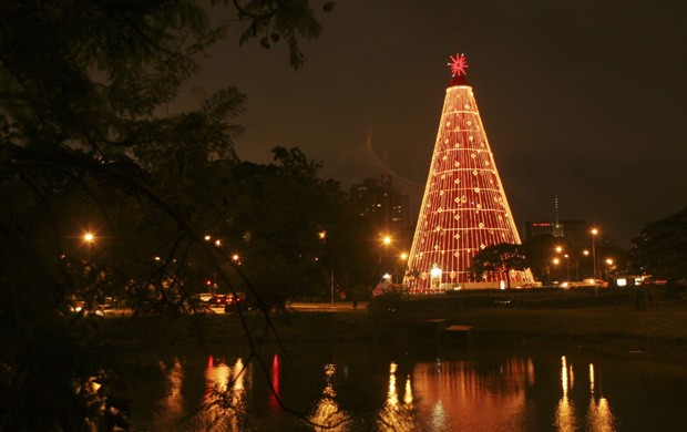 Árvore de Natal montada no Parque do Ibirapuera, em SP (Foto:  Claudio Rossi / EDITORA GLOBO)
