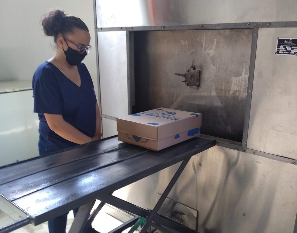 Momento antes da cremação de um animal de estimação — Foto: Cemitério e Crematório dos Animais A Reviver/Divulgação