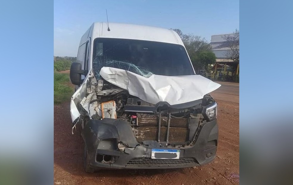 Boi solto em rodovia provoca acidente com furgão em Taquarituba (SP) — Foto: Marcos Fernandes/ Reprodução 
