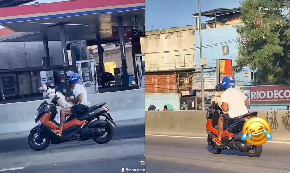 Cachorro 'pilotando' moto em avenida do Rio viraliza nas redes; veja vídeo