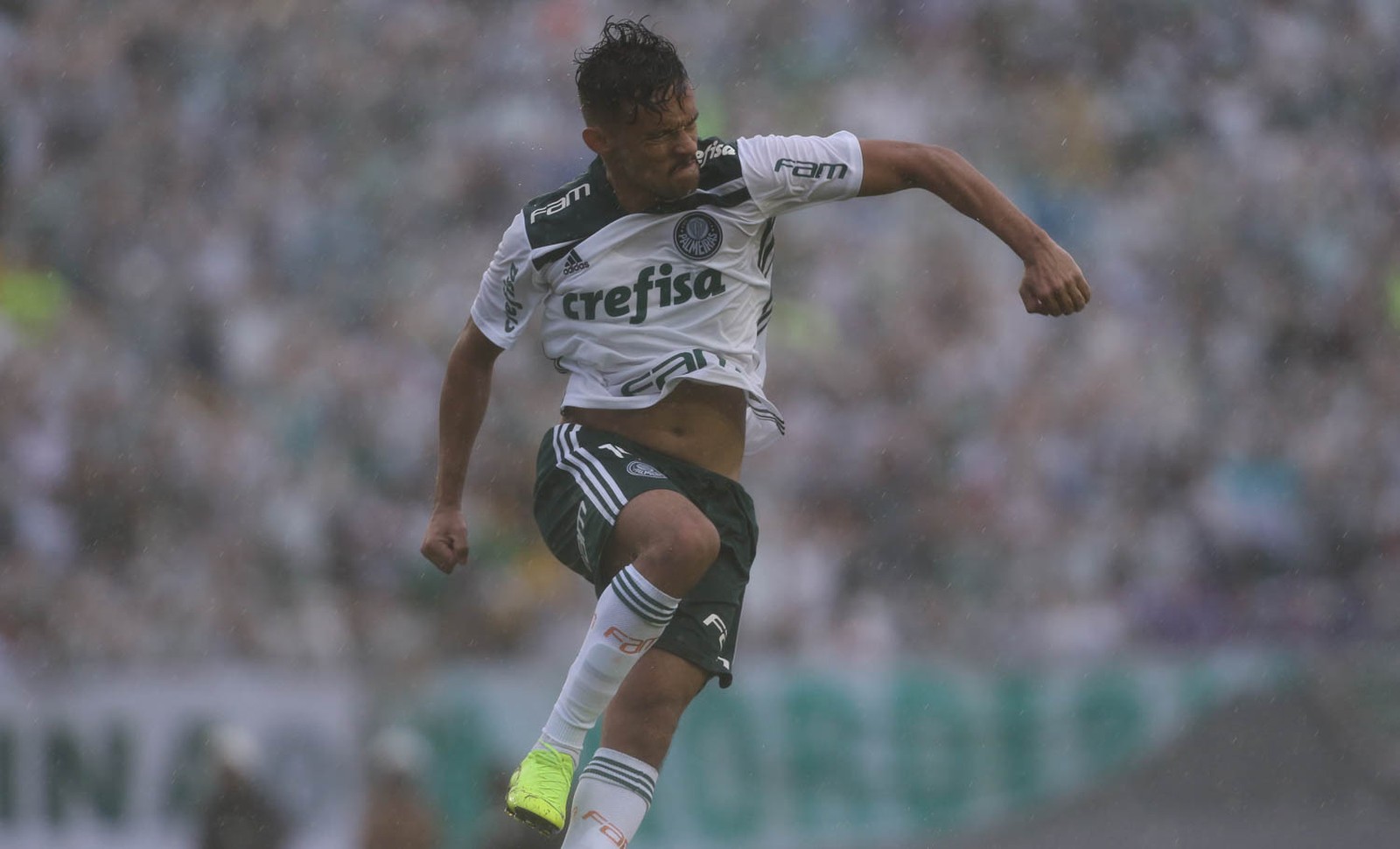 Palmeiras mantém 95% de chance de ser campeão brasileiro, diz matemático