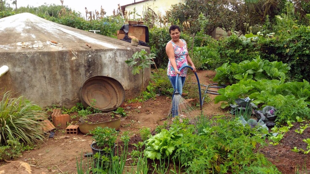 Hortifrutigranjeiros, frango de capoeira e tilápia são os alimentos adquiridos pelo programa do Governo Federal (Foto: Mônica Lourenço/Ascom ASA/Arquivo)