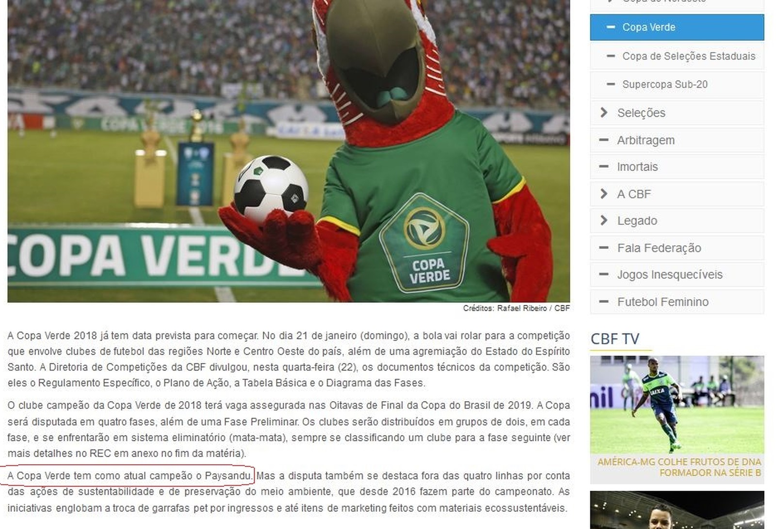 Site da CBF colocou Paysandu como atual campeão. Título de 2017 ficou com o Luverdense-MT (Foto: Reprodução)