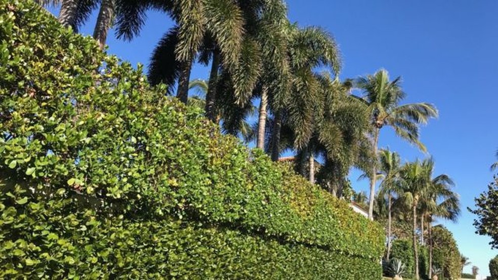 As propriedades em Palm Beach costumam ser muito isoladas do exterior — Foto: BBC Mundo