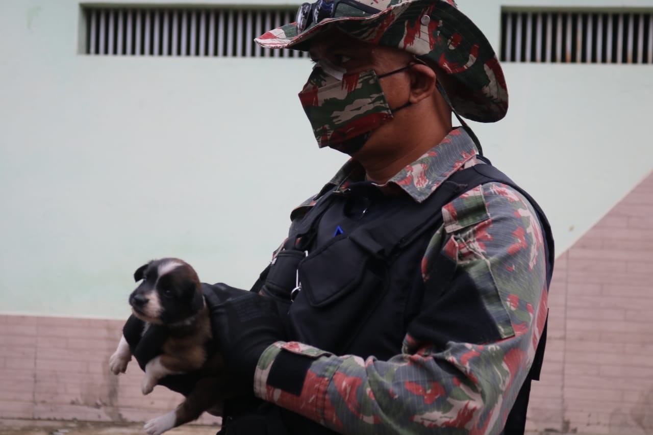 Polícia resgata mais de 10 cães trancados sem água e comida em Teresina; um morreu