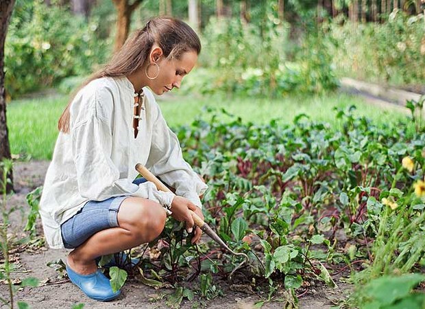 Depois de pronto, o adubo produzido em casa pode ser colocado no seu jardim, na sua horta e até destribuído para suas amigas (Foto: Casa e Jardim)