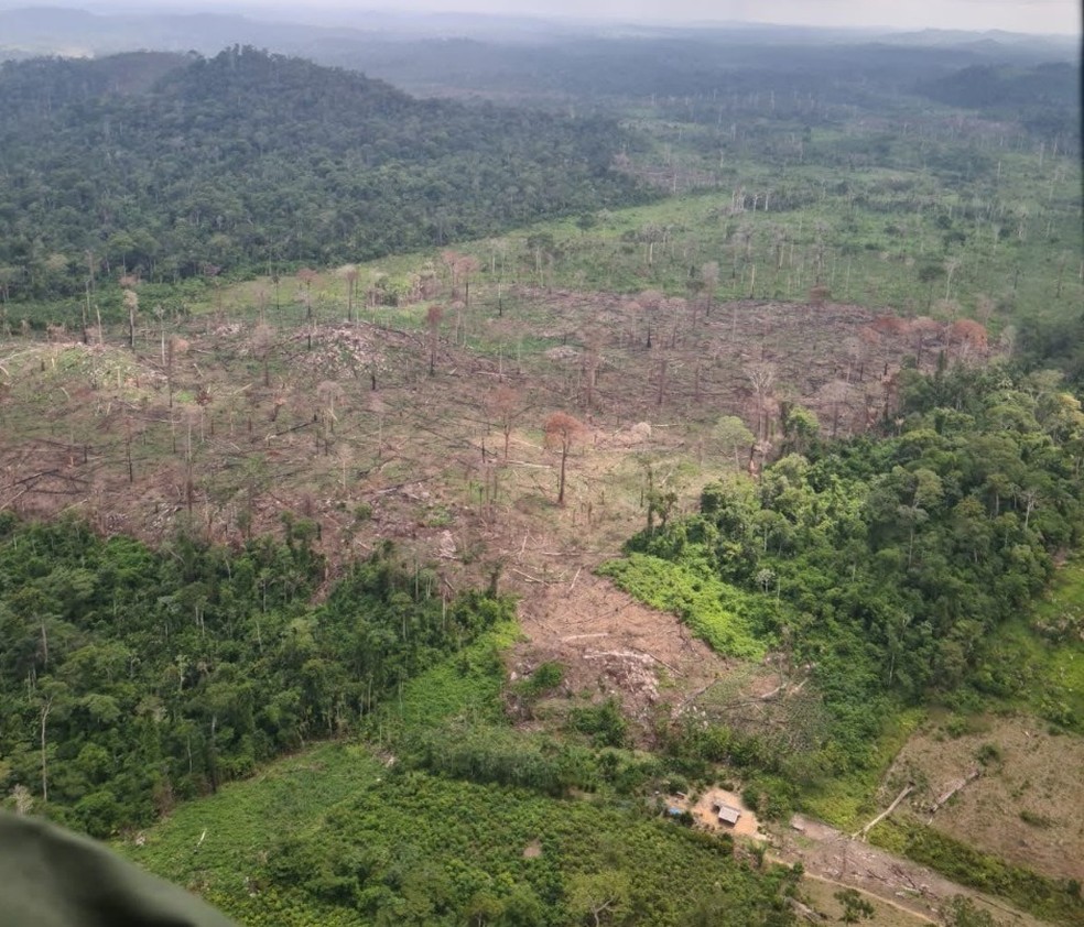 Área de desmatamento na Terra Indígena Ituna-Itatá, no Pará. — Foto: Reprodução / PF-PA