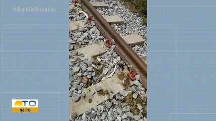 Rebanho é atropelado por locomotiva em trilho da ferrovia Norte Sul