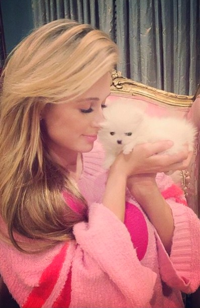 Paris Hilton curte a nova mascote. (Foto: Instagram)