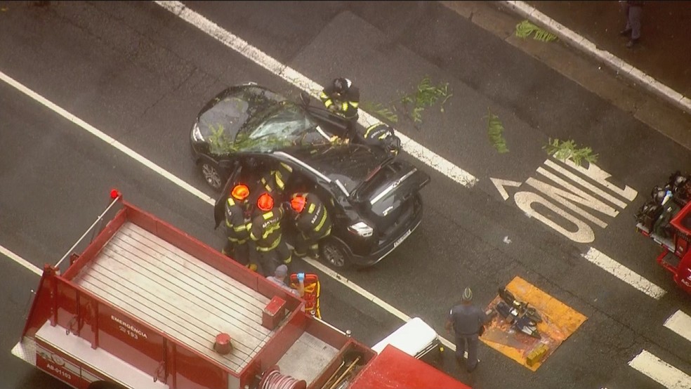 Árvore cai em cima de carro na Avenida Paulista — Foto: Reprodução/TV Globo