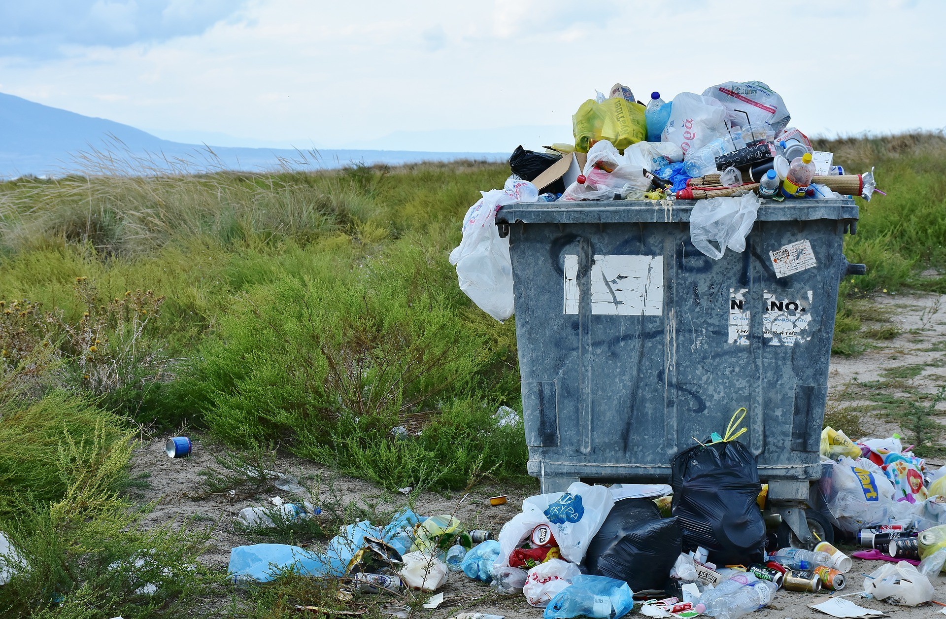 Brasil é o quarto país que mais gera lixo no mundo (Foto: RitaE/Pixabay)