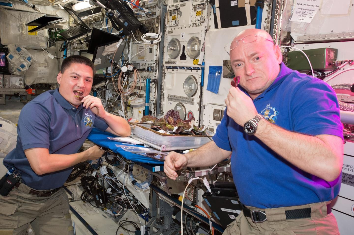 Scott Kelly e Kjell Lindgren, em 2014, na ISS. (Foto: NASA)