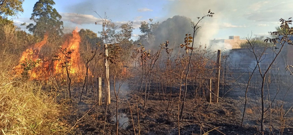 Bombeiros controlam incêndio em vegetação próximo de casas em Montes Claros