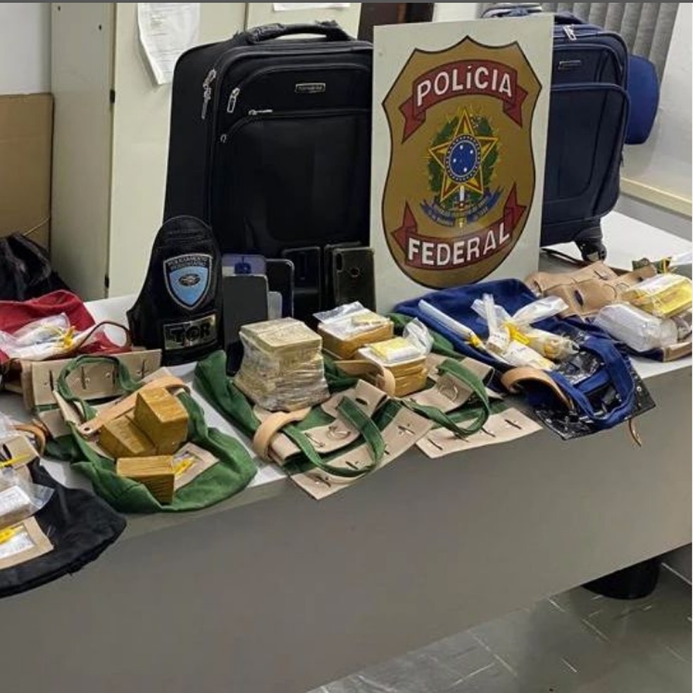 PF apreendeu carga de 77 kg de ouro, avaliada em R$ 23 milhões — Foto: Divulgação Polícia Federal