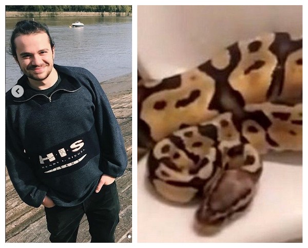 O ator Harry Visinoni e a cobra encontrada por ele no banheiro de sua casa (Foto: Instagram/Reprodução)