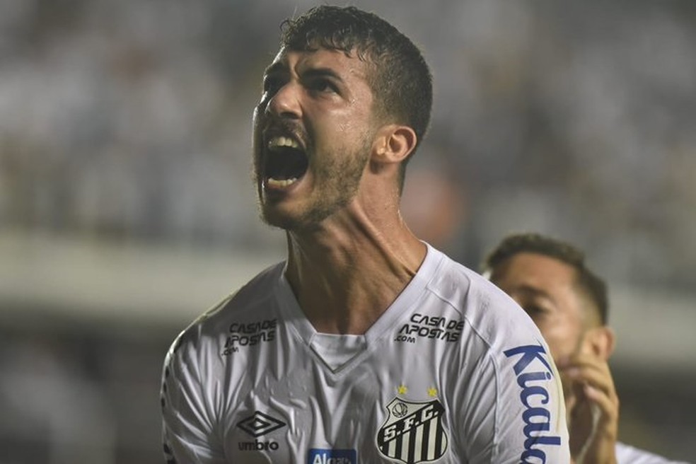 Gustavo Henrique fez o gol da vitória do Santos — Foto: Divulgação / Santos FC