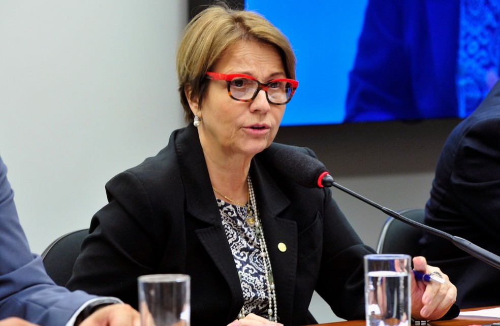 A deputada Tereza Cristina (DEM-MS), presidente da Frente Parlamentar AgropecuÃ¡ria â€” Foto: Luis Macedo / CÃ¢mara dos Deputados