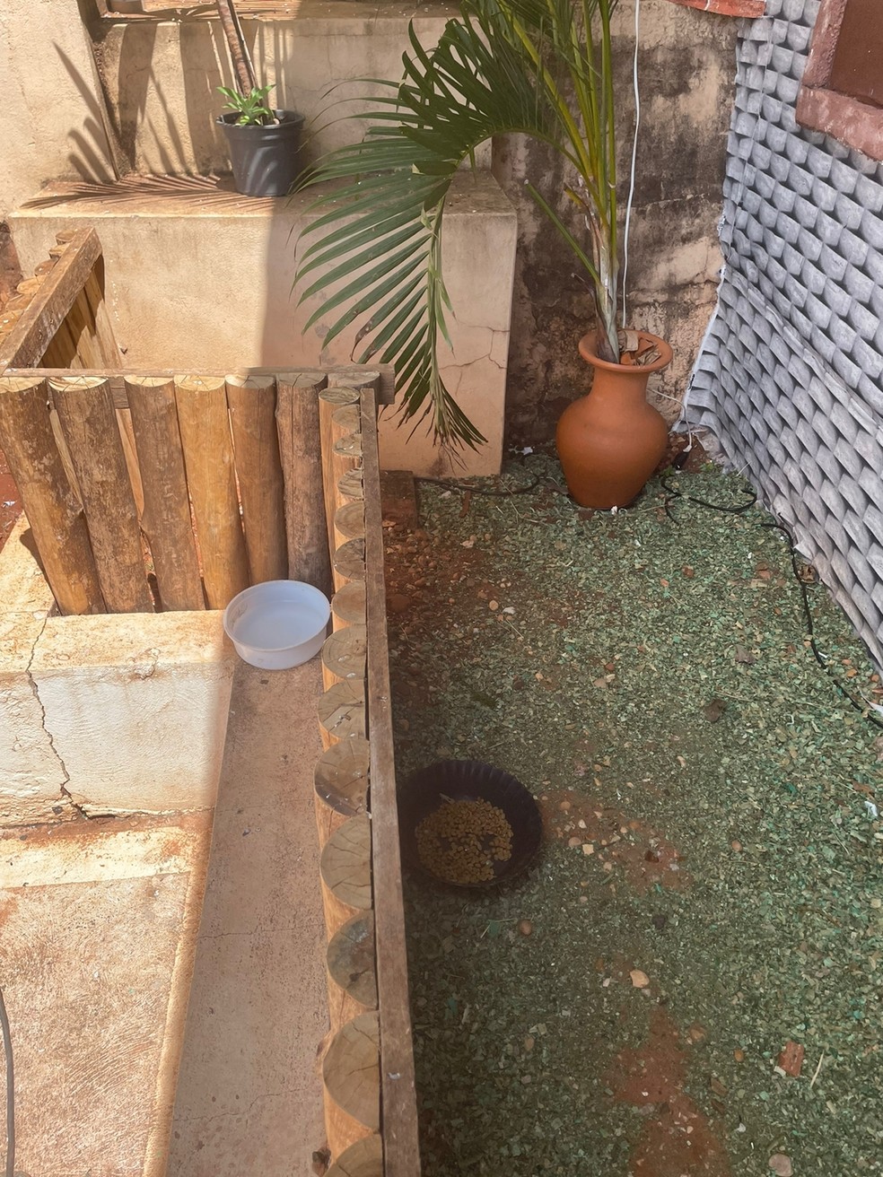 Fiéis adotaram o cachorro e o alimentam — Foto: Erondina Oliveira Joaneto/Arquivo pessoal