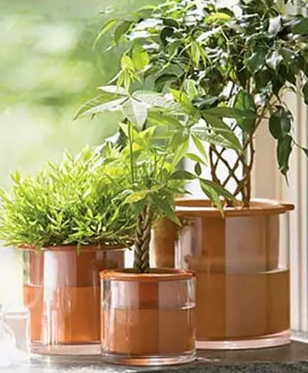 As plantas absorvem a água pelos furos na parte inferior do vaso (Foto: Pinterest/ Reprodução)