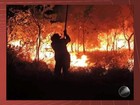 'Situação dramática', diz chefe de parque sobre incêndio na Chapada