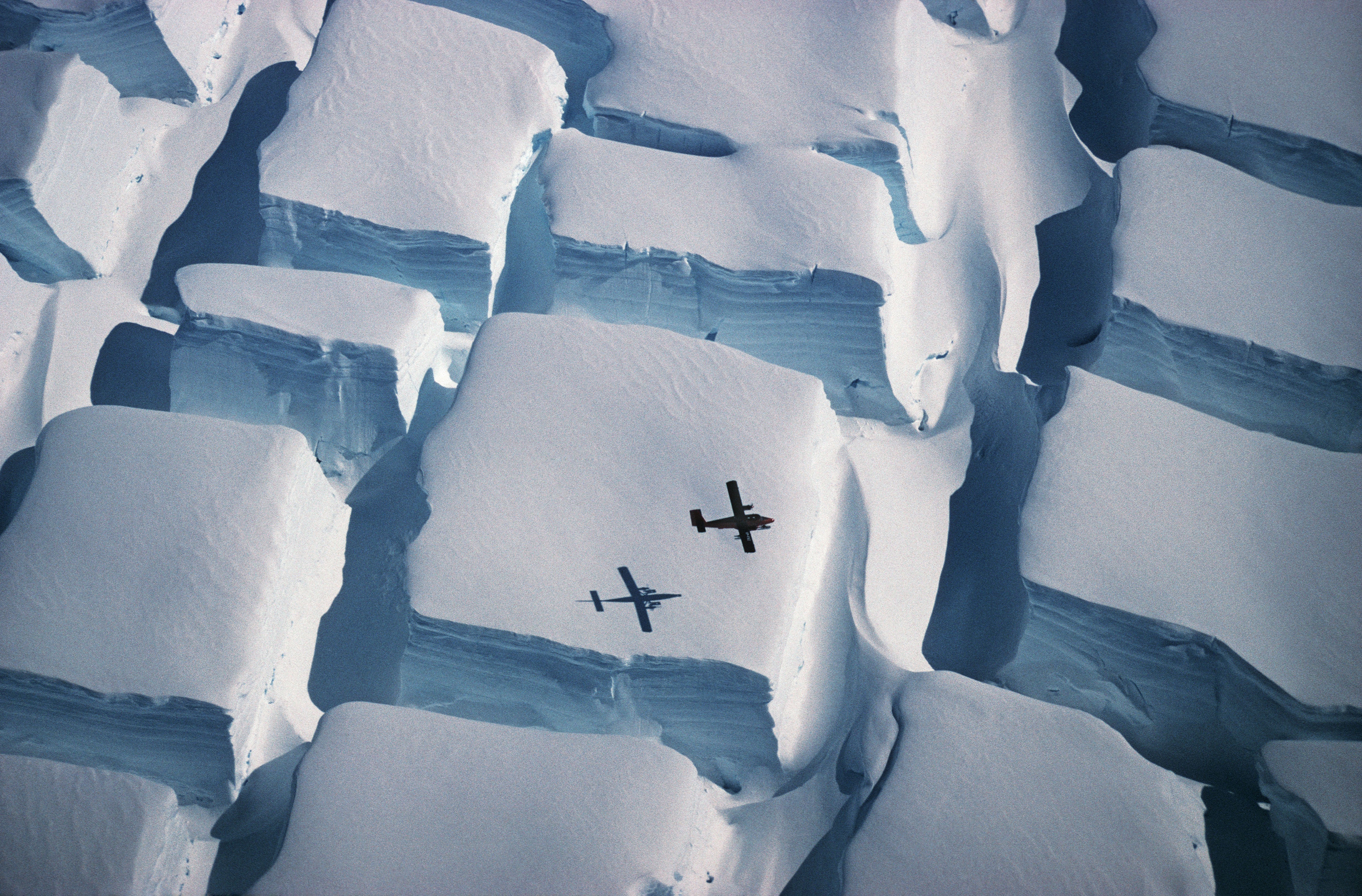 Os "cubos de gelo" da Antártida em foto clicada pelo ecologista Peter Convey (Foto: Peter Convey/Divulgação)