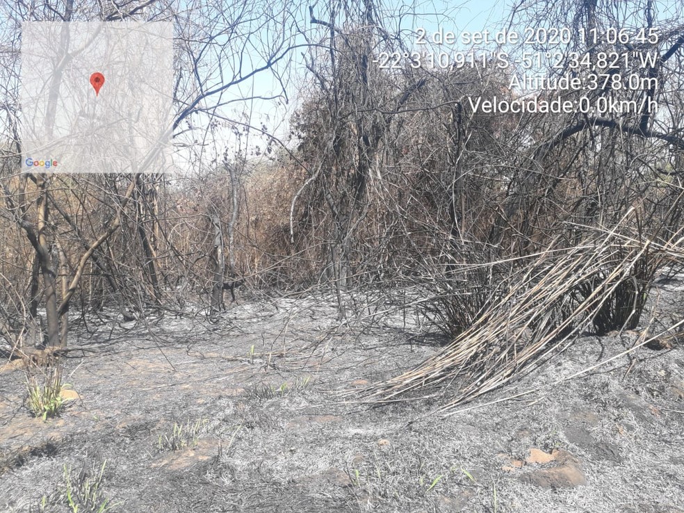 Polícia Ambiental aplica multas no Oeste Paulista devido ao uso de fogo — Foto: Polícia Ambiental 