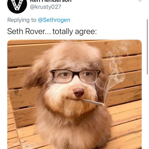 Seth Rogen foi comparado a um cachorro por fãs no Twitter (Foto: Reprodução/Twitter)
