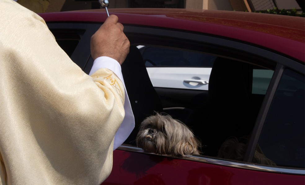 Cão é abençoado no dia de São Francisco de Assis, em Ribeirão Preto, SP — Foto: Pastoral da Comunicação/Divulgação