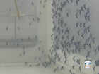 Militares orientam sobre combate e prevenção do Aedes aegypti no Rio