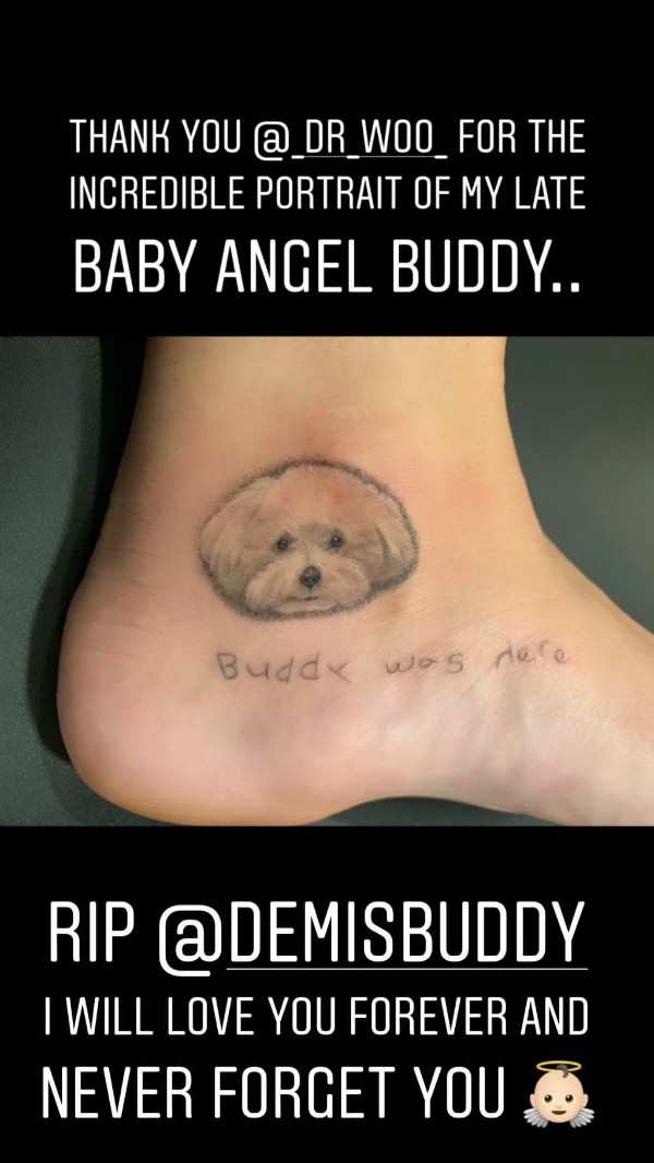  Tatuagem de Demi Lovato em homenagem ao cãozinho Buddy (Foto: Reprodução Instagram)