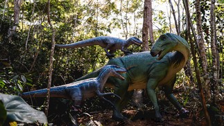 As esculturas serão em tamanho real, representando o comportamento dos dinossauros na natureza — Foto: Divulgação / Terra dos Dinos