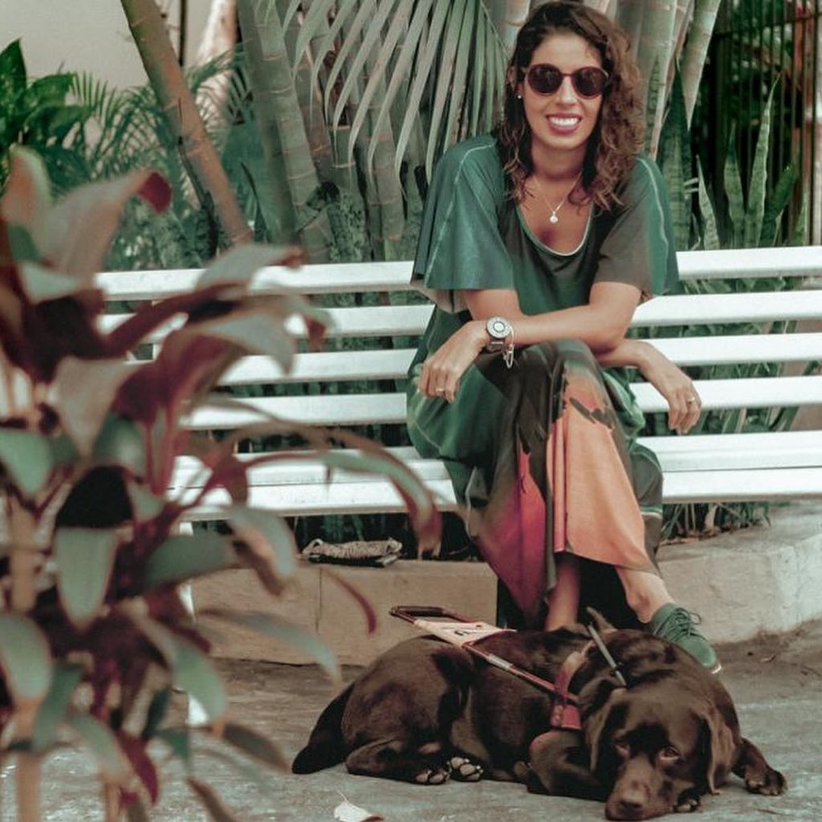 Cães de assistência: ouça a história de Astor, labrador que guia sua tutora com deficiência visible |  Bichos na Escuta