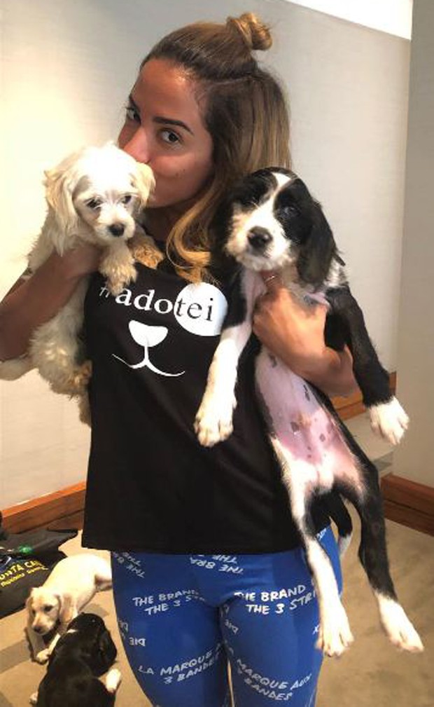 Anitta acabou decidindo adotar dois cães de Luisa Mell (Foto: Reprodução/Instagram)
