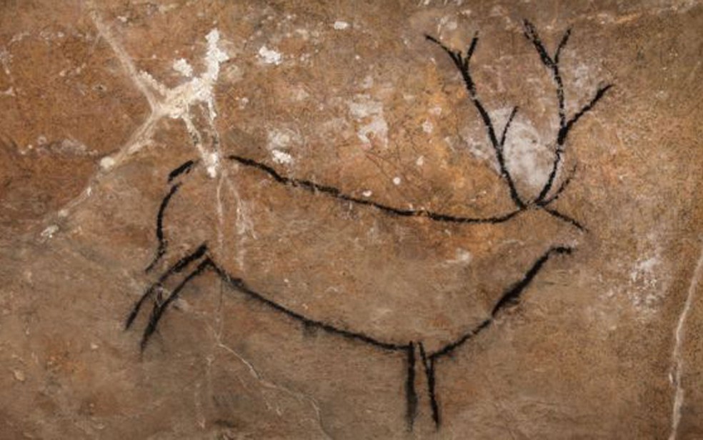 Desenhos que podem ser facilmente reconhecidos, como este cervo, têm atração imediata sobre os pesquisadores afirma Von Petzinger (Foto: BBC/D. von Petzinger)