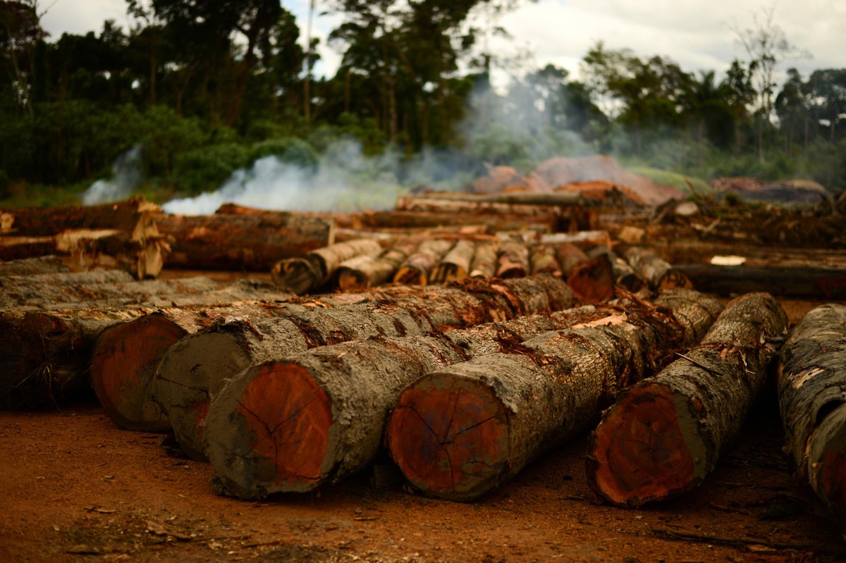 ONGs denunciarão Brasil na ONU por mudança em licenciamento ambiental