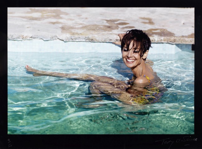 Foto de 1967 de Audrey Hepburn por Terry O'Neill é uma das imagems do leilão (Foto: Divulgação)