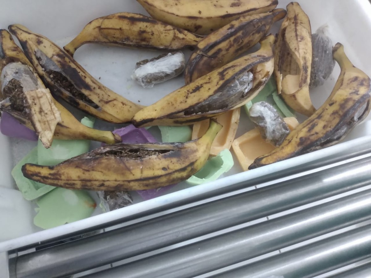Três mulheres são presas tentando entrar em presídio com droga dentro de cascas de banana e sabonetes em AL - Vimarsana News