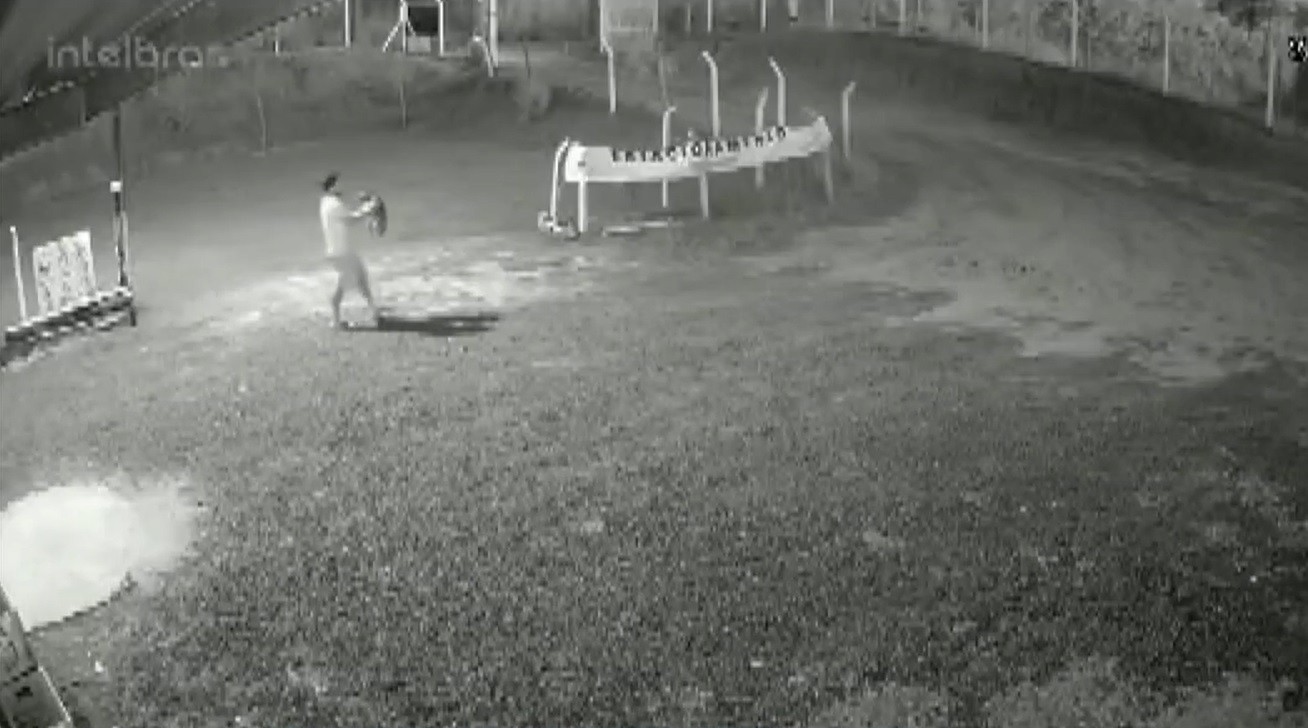 Polícia investiga dono de restaurante suspeito de ter matado cachorro a chutes em Limeira