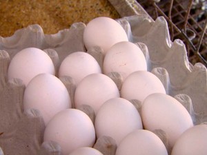 Para produzir um ovo são gastos 200 litros de água (Foto: Reginaldo dos Santos / EPTV)