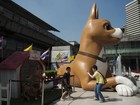'Tongdaeng', filme sobre cachorra favorita do rei, é sucesso na Tailândia