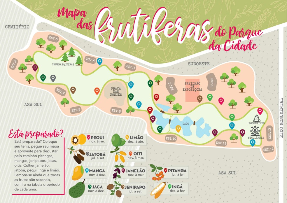Mapa de árvores frutíferas do Parque da Cidade — Foto: Divulgação
