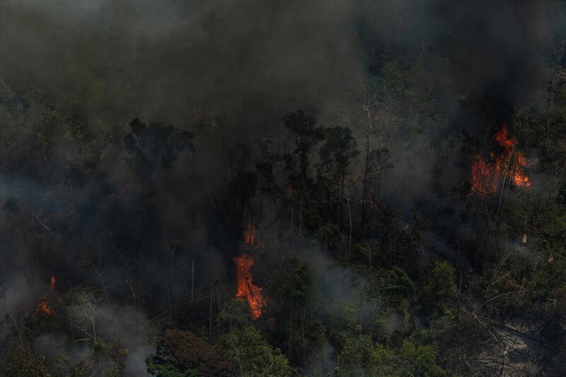 Queimada para expansão de área no sul do Amazonas, em Novo Aripuanã (Foto: Victor Moriyama/Greenpeace)