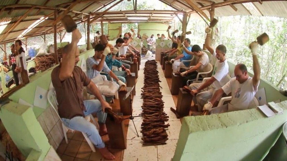 Produção do chá de ayahuasca em igreja em São Paulo; Brasil está à frente de estudos sobre potencial médico da bebida — Foto: Reprodução/Fabio Flecha/BBC