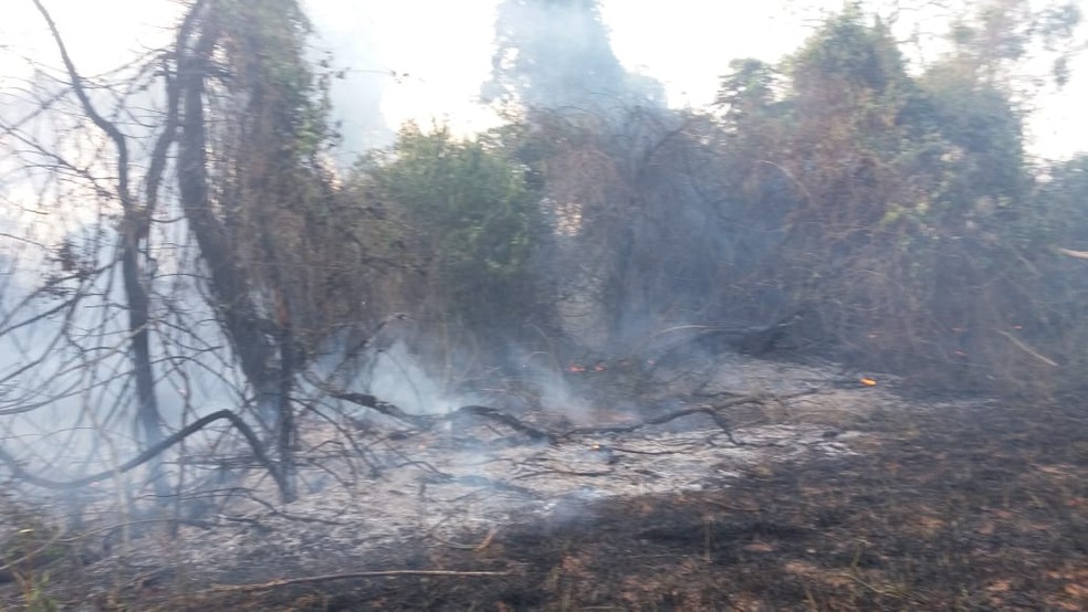 Área de assentamento em Martinópolis foi destruída por incêndio (Foto: Comdec/Cedida)